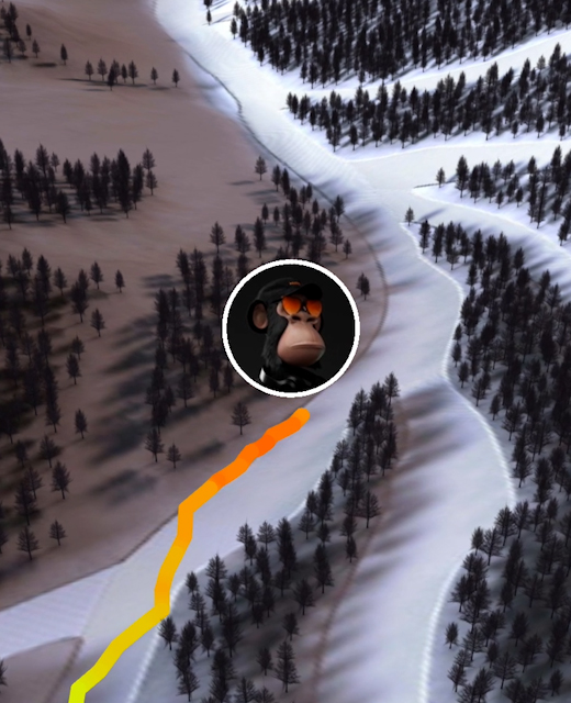 Rolling Beast app - 3D interactive ski tracking replay
